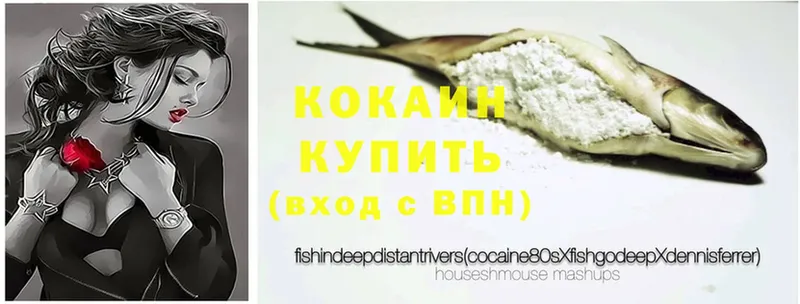 COCAIN FishScale  где продают наркотики  Бакал 