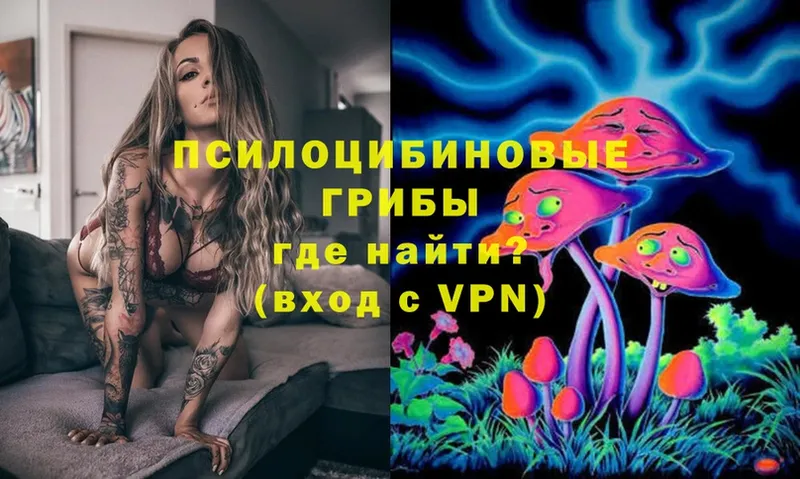 Галлюциногенные грибы Magic Shrooms  купить наркоту  Бакал 